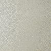 Davis Dot Metallic Gold-Pewter AT79164